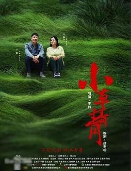 《小草青青》高清免费观看电视剧大全在线观看未删减版