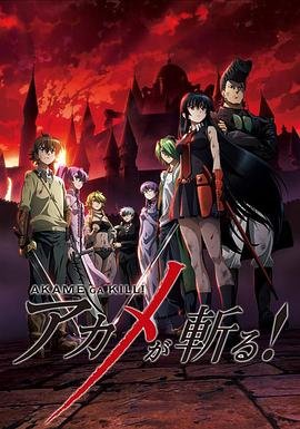 正在观看《斩赤红之瞳》动漫免费未删减版