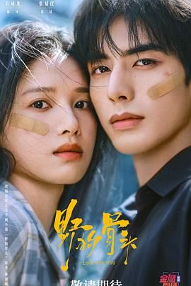 正在观看《野狗骨头》电视剧免费完整版