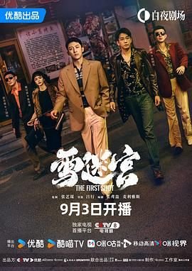 《雪迷宫》电视剧免费观看完整版高清在线观看