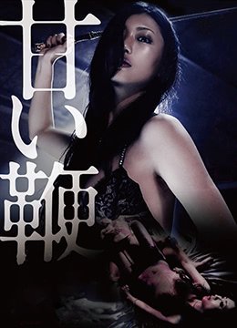 《甜蜜皮鞭》免费在线观看未删减版超清
