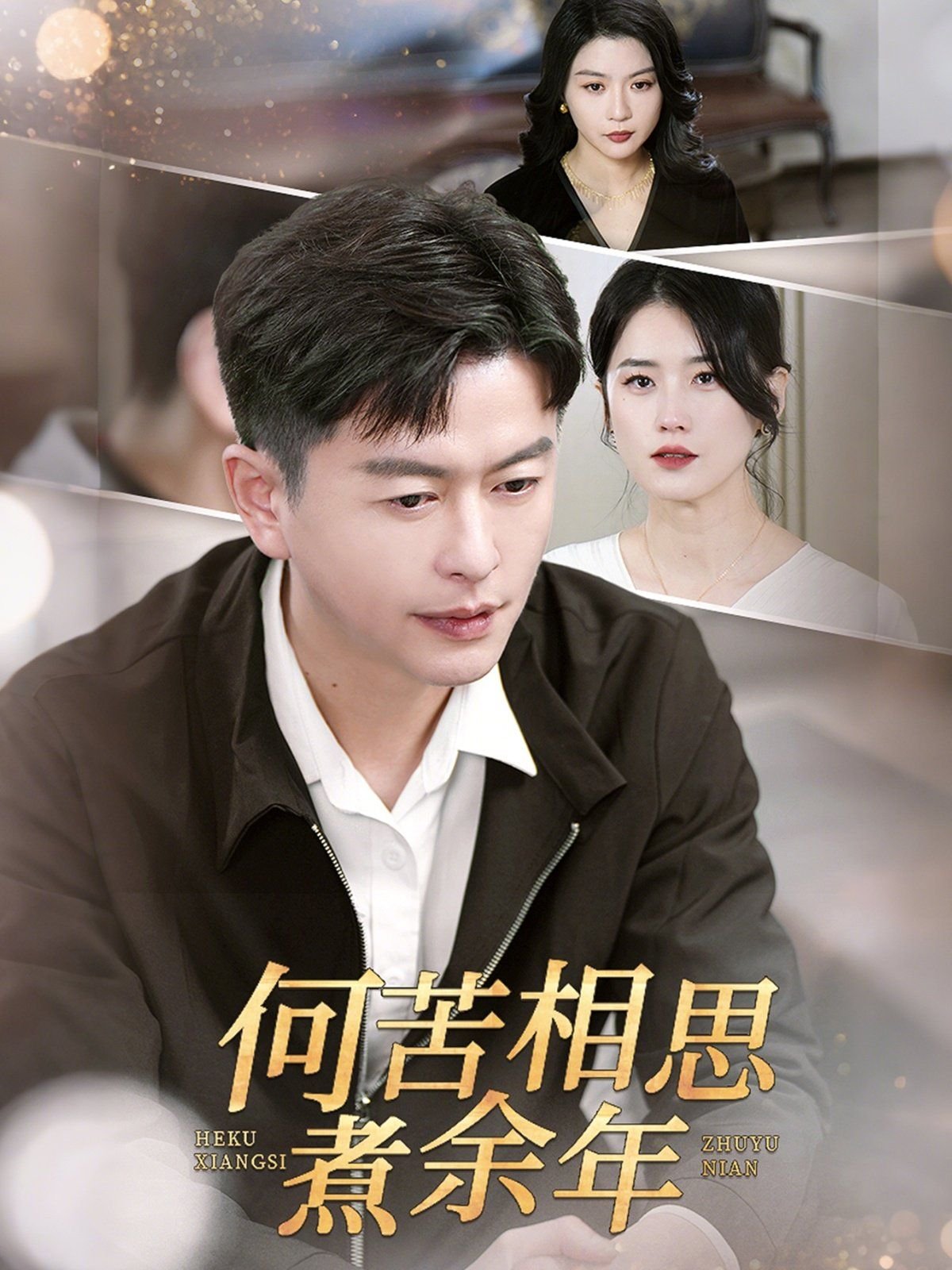 《何苦相思煮余年》短剧免费高清未删减版在线观看
